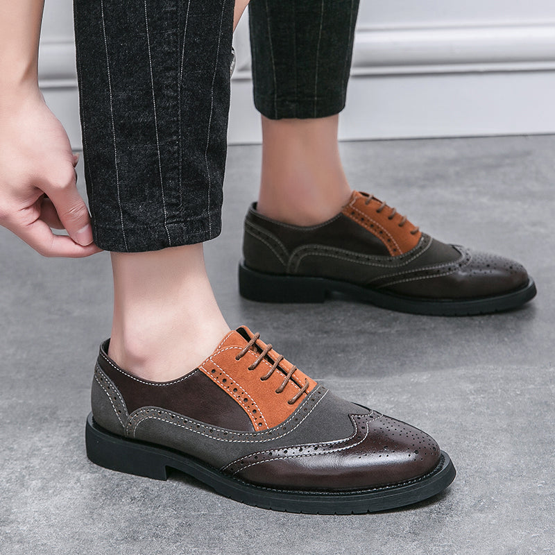 Aristo Wingtip Brogues